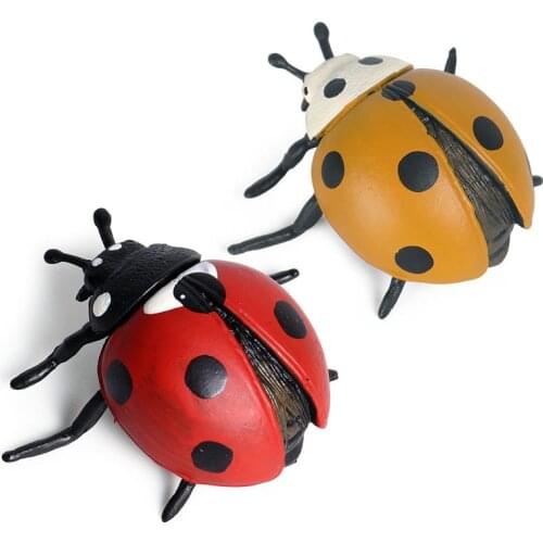 Children simulation animal insect model toy static solid seven-star ladybug beetle scene decoration