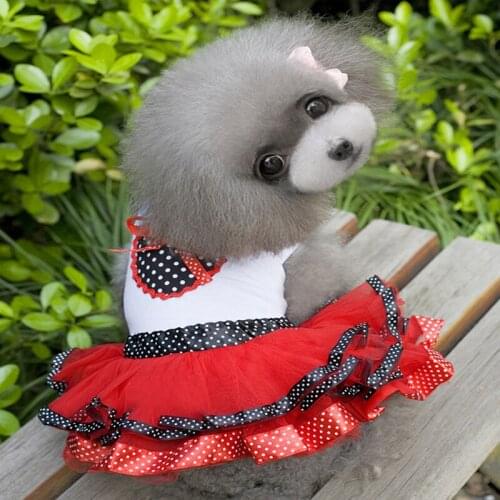 Pet Dog Clothes Sweetheart Princess Dress Love Lace Skirt Princess Print Cute Dress Pet Princess Loli Style Pet Supplies XS-XXL