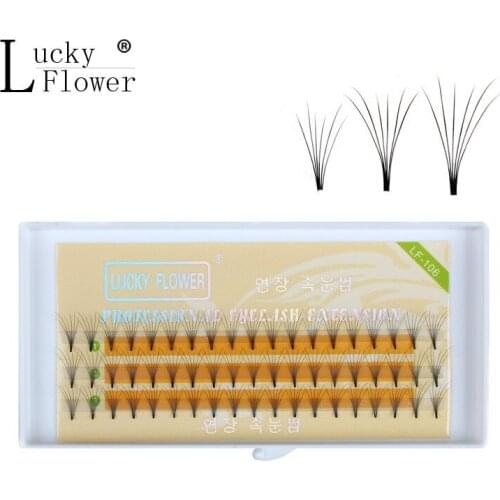 Hot Sale 6D Soft Cluster Eyelash Extension Deluxe Lashes 0.15mm Flase VOLUME Eyelashes Fans freeshipping