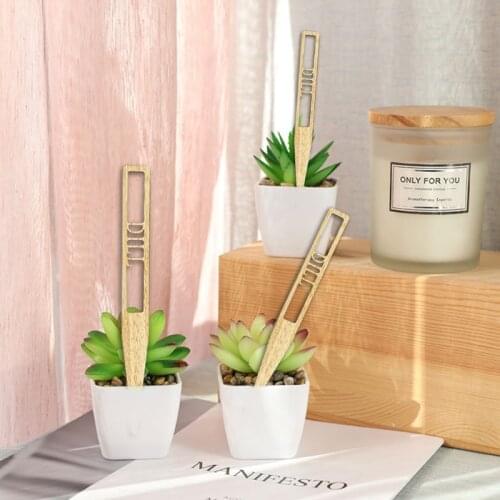 12pcs Plant Labels Hollow Lettering Garden Markers Tags Wooden Sign Sticks for Herbs Potted Plants Flowers Vegetable M17D