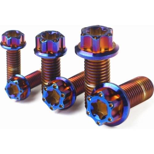 2pcs Anti-theft M6 M8x1.25mm M10x1.25mm Titanium Alloy Screws Bolts for Motorcycle Brake Caliper or More