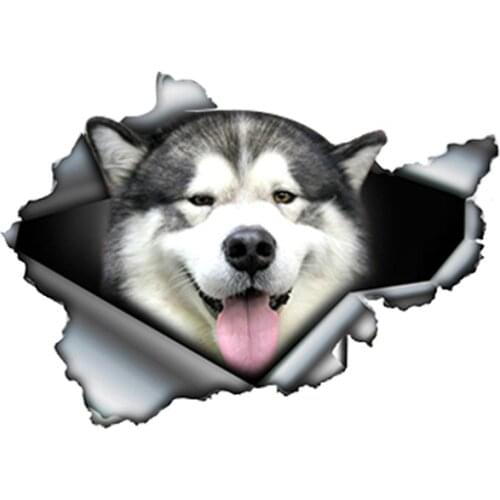 13cm X 9cm Personality Car Sticker Malamute Torn Accessories Decal Car Window Decorative Vinyl Cover Waterproof PVC