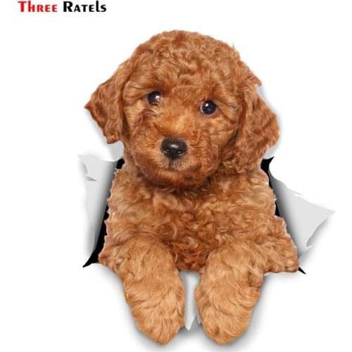 Three Ratels FC56 3D Dog Stickers Red Poodle for Car Truck Window Wall Toilet Refrigerator Laptop Any Smooth Surface Waterproof