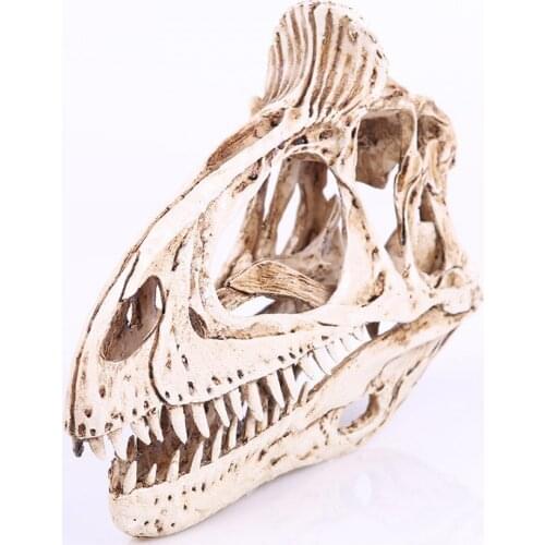 Ice Ridge Dragon Head Bone Resin Handicraft Skull Halloween Decoration Dinosaurs Skull Mold for Kids Students Gift Study Props