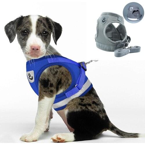 Reflective Cat Dog Harness and Leash Set Pet Puppy Dog Nylon Vest Harness Leads Mesh For Small Medium Dogs Chihuahua Yorkies Pug