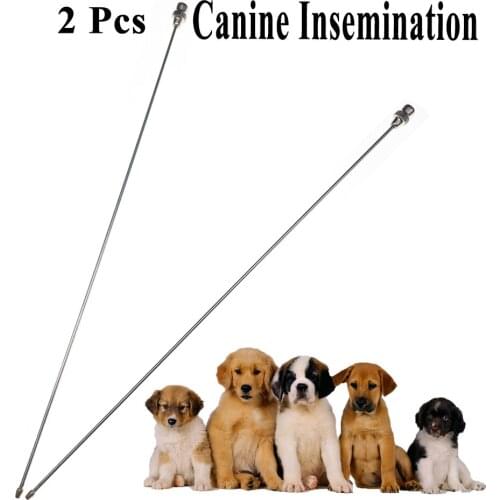 2PCS Dog Canine Artificial Insemination Needle Pin Stainless Steel Semen Fresh Sperm Injection For Small Pet Sheep Goat 23cm