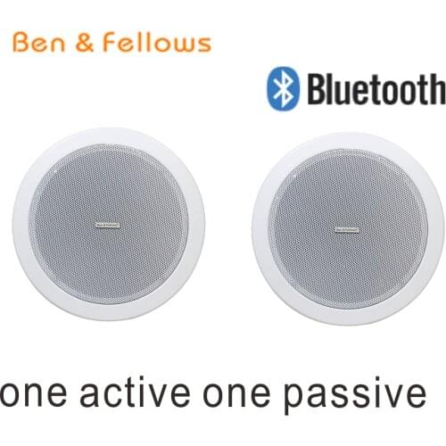 315106 Ceiling Speaker Bluetooth Home Audio Speakers Plastic Active 5" inch in Pairs 15 Watt 8 Ohm with Tweeter