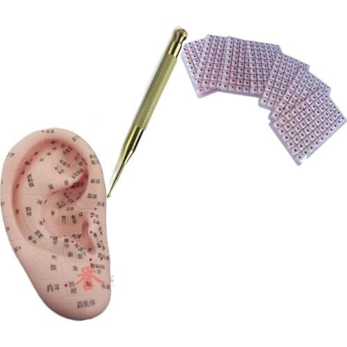 600Pcs Ear Press Auricular Vaccaria Seed With Flexible Copper 16CM Ear Acupuncture Point Model Probe Needle Ear Bead Massage