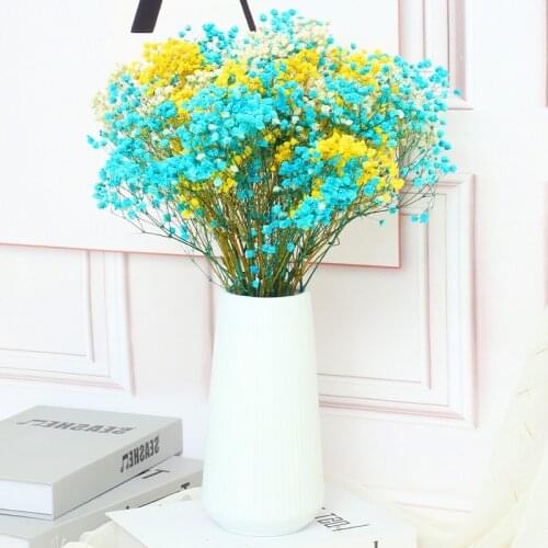 100g Natural Preserved Flowers Gypsophila Flower Babys Breat Wedding Bouquets Gift For Home Decor