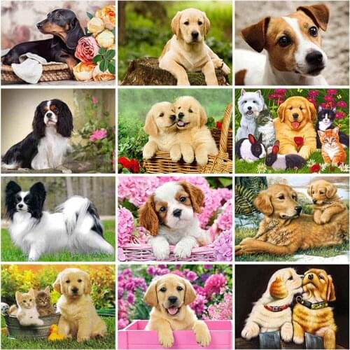 Dog DIY 5D Diamond Painting Full Round Drill Cross Stitch Kit Animal Diamond Embroidery Resin Mosaic Wall Art Home Decor