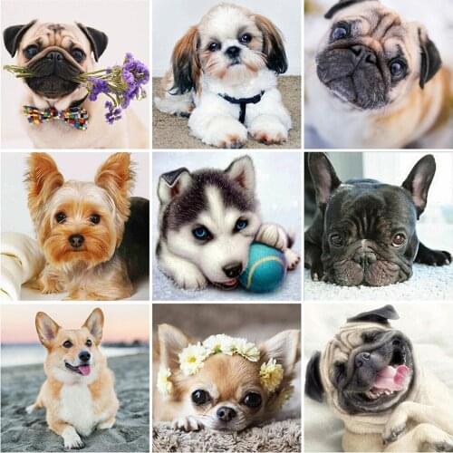 Full Square / Round Drill 5D Diy Diamond Painting Dog 3D Diamond Embroidery Animals Cross Stitch Mosaic Handmade Gift Home Decor