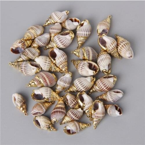 Natural Chocolate Shell Fashion Conch Pendants Exquisite charms for Jewelry Making Bracelet Necklaces earring Accessories 10pcs