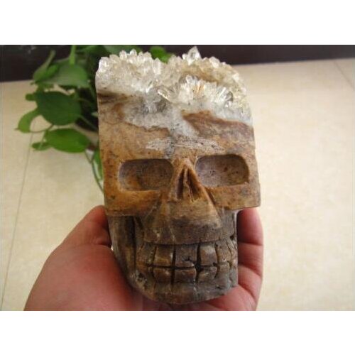 1.5kg natural beauty clear cluster crystal skull specimens