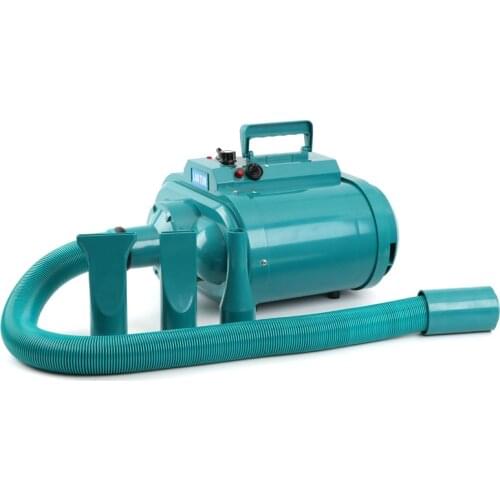 High-power Large Dog Double Pet Water Blowing Machine Hair Dryer Electric Asciugatrice Hot/Cold Air Secador