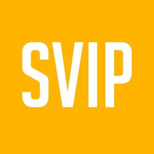 DROPSHIPPING VIP Link---Stick classique 1pcs