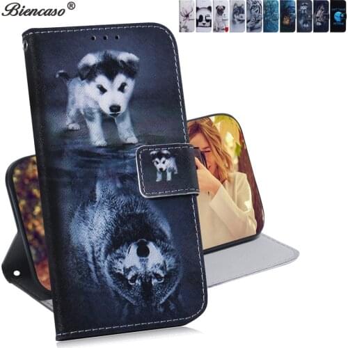 Biencaso Phone Cases Asus ZenFone 5Z