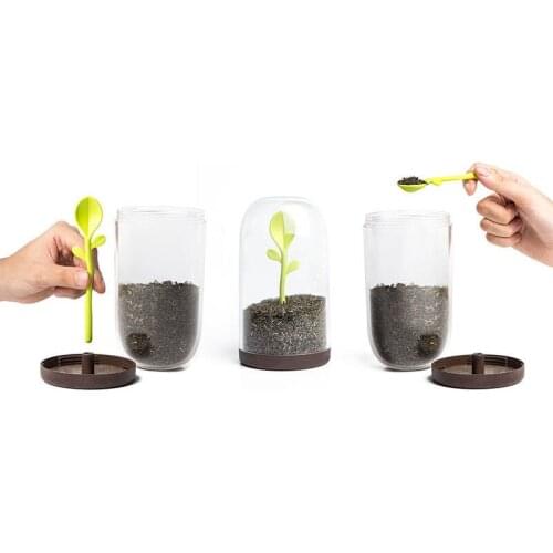 Sprout Jar coffee tea storage container with spoon clear dome