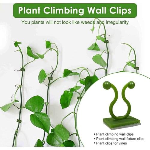 60 Pcs Greenhouses Plant Climbing Wall Fixture Clips Tie Wall Sticky Vines Fixing Clip Invisible Vines Holder Garden Tools
