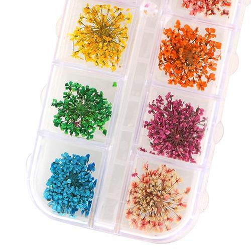 36Pcs 12 Colors Real Dried Flowers DIY Nail Art Tips Stickers Manicure Decor Nail Art Stickers stickers nail art decorations