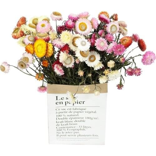 10PCS/20 PCSReal Chrysanthemum Home Decor Dried Flower Living Indie Room Decoration Atificial Flower For Wedding Christma Party