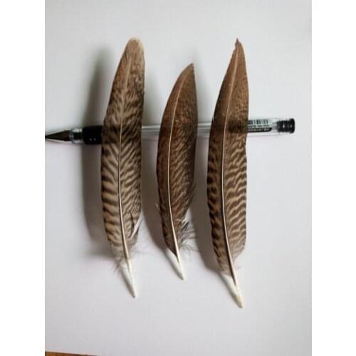 New! Batch quality 5 pc quality Golden pheasant feathers, 4-6inches / 10-15cm, DIY decorative handicrafts