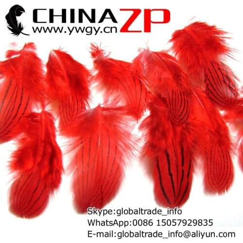 Leading Supplier CHINAZP Factory 2000pcs/lot 8~10cm Length Cheap Wholesale Dyed Red Silver Pheasant Plumage Feathers