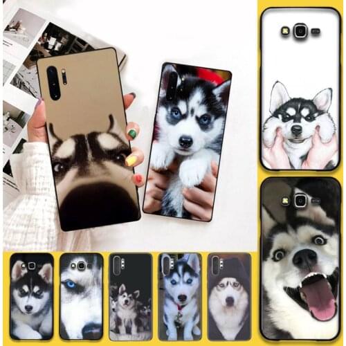 Animal Husky cute Puppy Dog Soft Phone Case Cover For Samsung Galaxy Note20 ultra 7 8 9 10 Plus lite J7 J8 Plus 2018 Prime