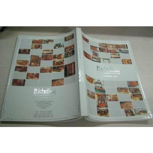 Free shipping ,we supply cheap printing for business card,flyer,catalogue,magazine,poster printing