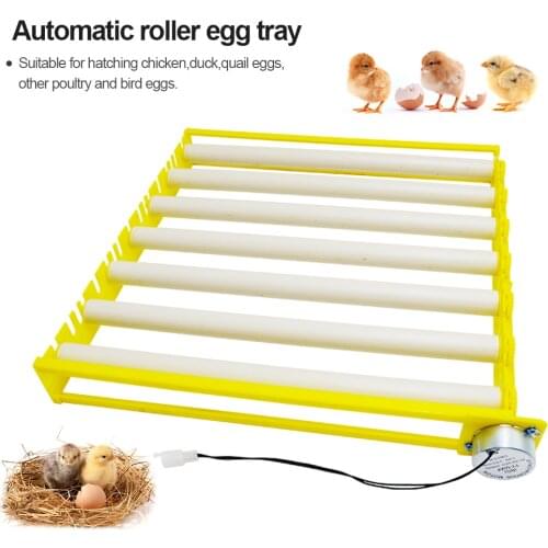 Quality incubator-Accessories 7/9/13 tubes Roller Eggs Tray Durable Automatic Rotary