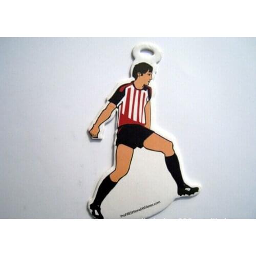 Free Shipping,Air freshener for car & paper air freshener & paper car air freshener wholesale for promotion