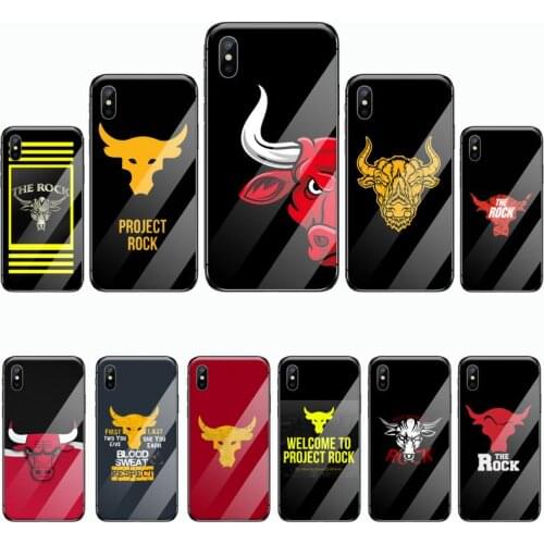 UA PROJECT ROCK Phone Case Tempered glass For iphone 5C 6 6S 7 8 plus X XS XR 11 PRO MAX