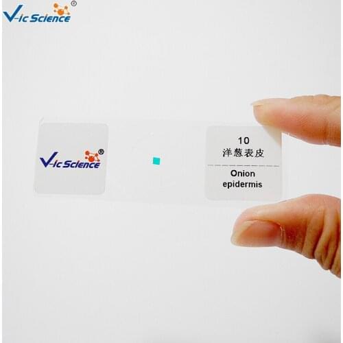 Biology Microscope Slides 5pcs Set For Student