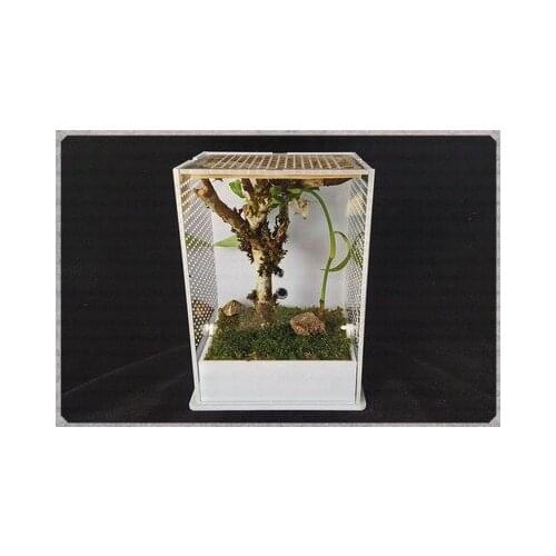 Insect breeding box mantis Villa Acrylic insect breeding ecological box ecological container non-toxic harmless durable