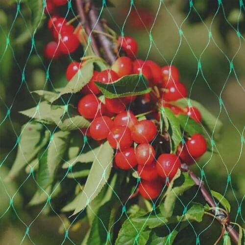 5 Size Extra Strong Anti Bird Netting Garden Allotment Reusable Lasting Protection Against Birds Deer