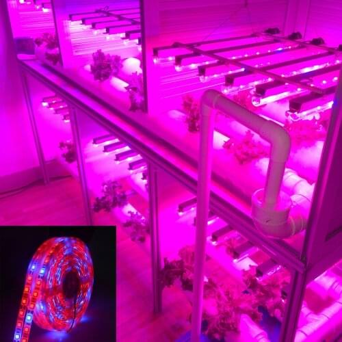 Full Spectrum LED Grow Light Strip Phyto Lamp 5 Meters SMD 5050 LED Diode Fitolampy Ribbon For Plant Seeds Hydroponic 5pcs/Lot