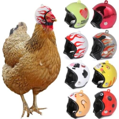 Chicken Helmet Cap Pet Protective Gear Sun Rain Protection Helmet Toy Bird Hens Small Pet Supplies Costumes Accessories