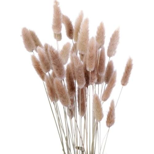 15pcs Dried Flowers Dried Grass Pennisetum Rabbit Tail Hay Bunny Tail Natural Plants Decorative Dried Flowers Pastoral Home Deco