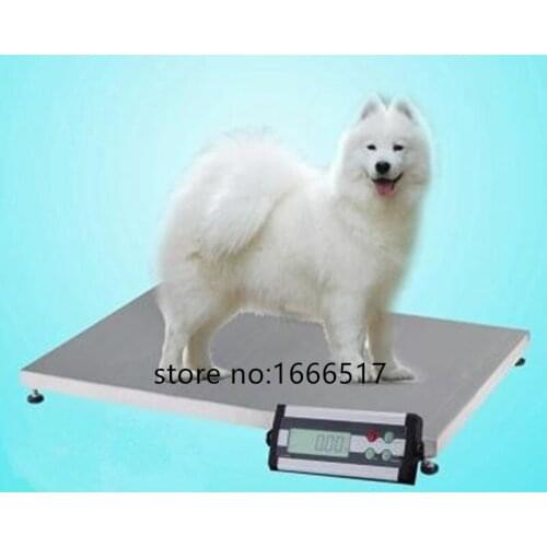 150 kg Vet Veterinary Animal Greyhound Dog Scale Floor Scales 900 * 600 ATT