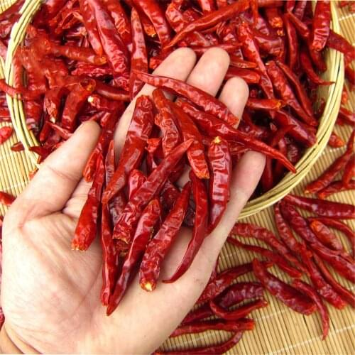 Dried Chilli Chili Pure Natural Bonsai Sichun Chilli Pepper Free Shipping
