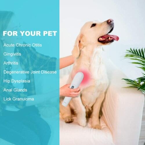 Vet Clinic Animal Hospital Use Veterinary Use Cold Laser Therapy Device for Cats Dogs Horses Pets Pain Relieve Rechargeable