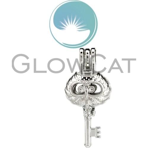 10X K795 Owl Head Key Beads Cage Locket Pendant Finding Perfume Diffuser Pearl Fit Necklaces Jewelry