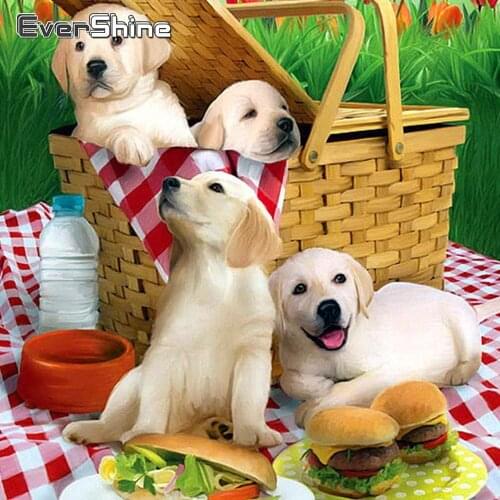 Evershine 5D DIY Diamond Embroidery Full Display Dogs Cross Stitch Diamond Painting Animals Rhinestones Pictures Diamond Mosaic