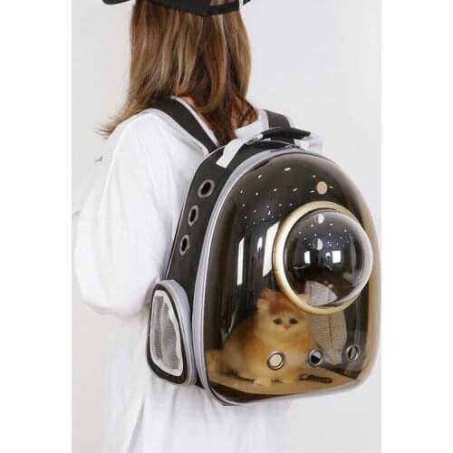 Carrier Pet Cat Dog Backpack Outdoor Portable Travel House Carry Bag Large Capacity Transparent Breathable Shoulder Cage Box