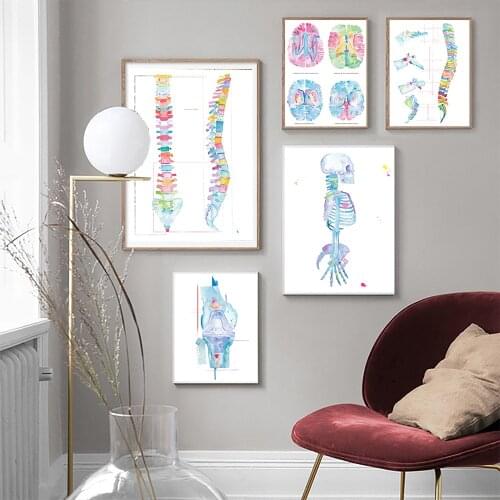 Spine Anatomy Artwork Medical Wall Picture Muscle Physical Vintage Poster Nordic Canvas Print Chiropractor Painting Modern Decor