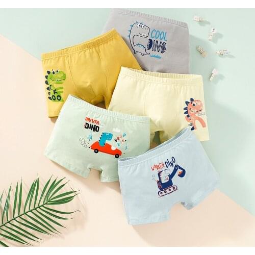Teenager Dinosaur Shorts Boys Underwear Kids Boxer panties for 2-10 years Soft Organic Cotton Childrens Pants baby Underpant