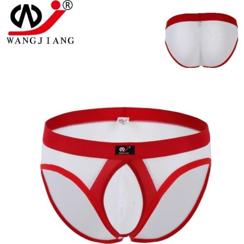Mens underwear elastic nylon mesh transparent briefs convex ring U outsourcing WJ DAN1003SJA