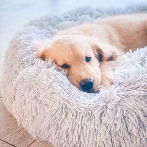 Round Plush Dog Bed House Dog Mat Winter Warm Sleeping Cats Nest Soft Long Plush Dog Basket Pet Cushion Portable Pets Supplies