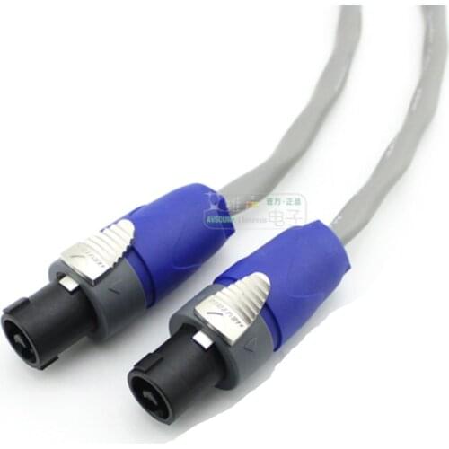 1Pcs CANARE professional speaker cable XLR ohm plug NL2FX two-core audio custom-made cable HiFi