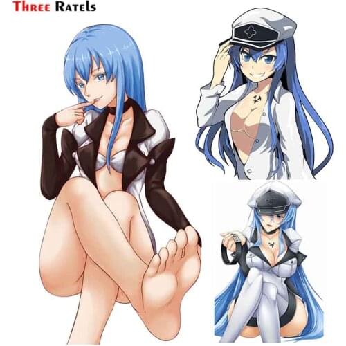 Three Ratels F711 Esdeath Akame Ga Kill Car Sticker Decal For Wall Toilet Kids Room Luggage Skateboard Laptop Decoration
