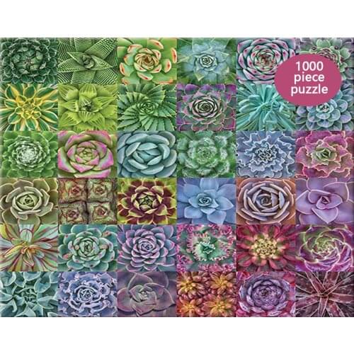 Puzzle Succulent Plants 1000 Piece Adult Children Puzzle Holiday Gift Pattern Toy Indoor DIY Assemble educational Puzzle Jul6